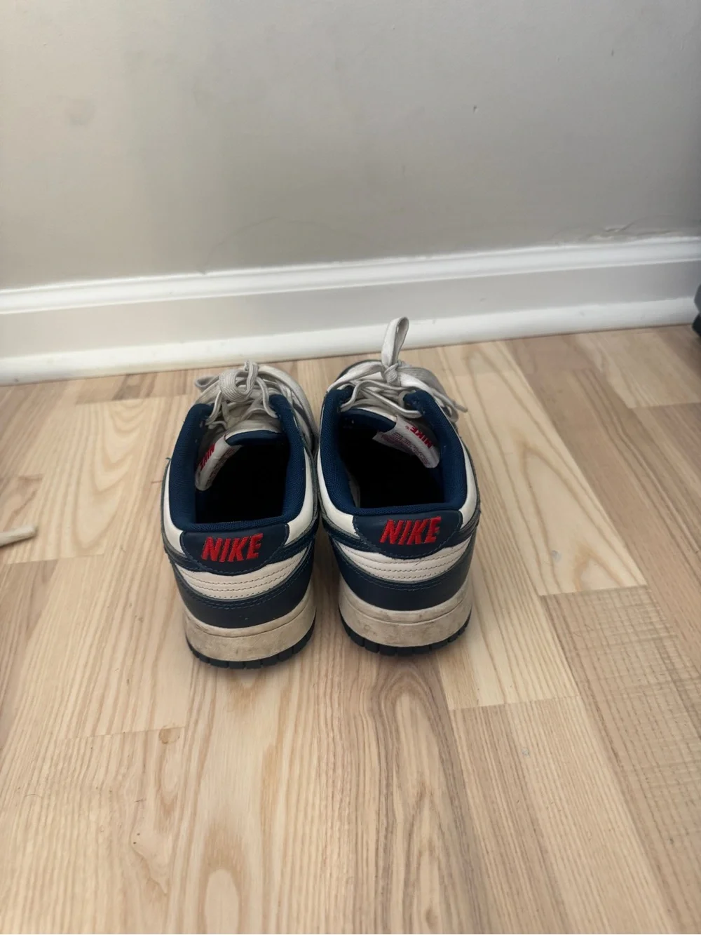 Nike dunks (men’s 7 womens 8.5)